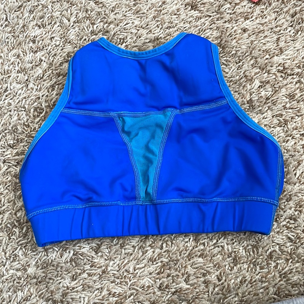 Blue Chestee bra size 4